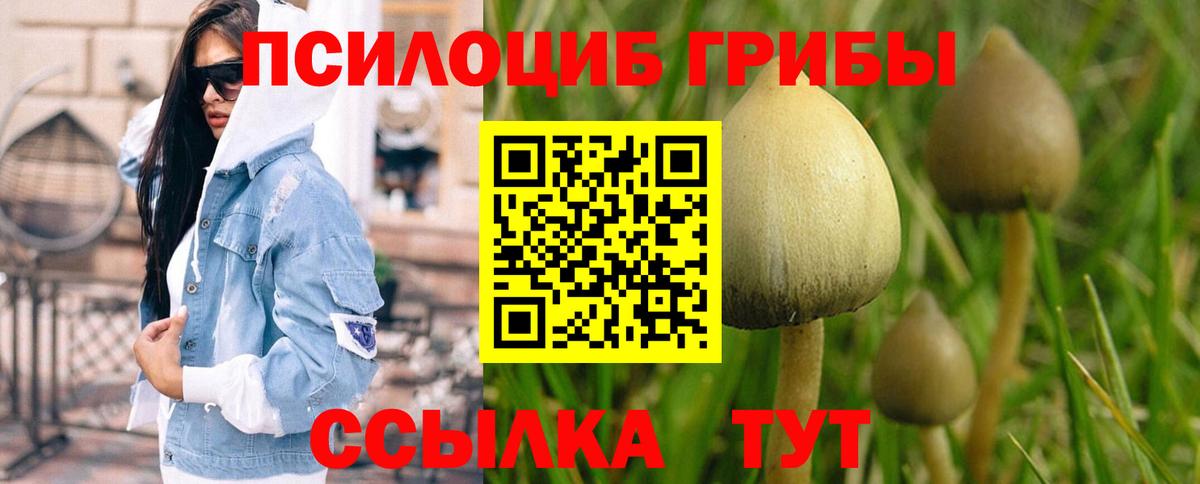 Псилоцибиновые грибы Cubensis  Вход с VPN  Павлово 